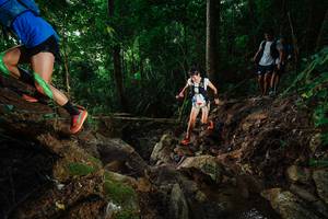 BIB: 
                            <button type="button" onclick="openModal(22403805)" class="btn btn-primary btn-sm float-right btn-popup" data-toggle="modal" data-target=".modal-high-quality">
                        <i class="fas fa-shopping-cart"></i> Add to Cart
                    </button>
                                            <button type="button" onclick="isThisMe(22403805, true)" class="btn btn-success btn-sm float-right btn-popup btn-isme hidden" data-toggle="tooltip" data-placement="bottom" title="นี่คือรูปของคุณใช่ไหม คลิกที่นี่เพื่อเอาเข้าอัลบั้ม">
                        <i class="fas fa-plus"></i> Add to album
                    </button>
                    <button type="button" onclick="isThisMe(22403805, false)" class="btn btn-warning btn-sm float-right btn-popup btn-isnotme hidden">
                        <i class="fas fa-ban"></i> Remove from album
                    </button>