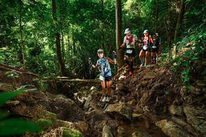 BIB: 
                            <button type="button" onclick="openModal(22419354)" class="btn btn-primary btn-sm float-right btn-popup" data-toggle="modal" data-target=".modal-high-quality">
                        <i class="fas fa-shopping-cart"></i> Add to Cart
                    </button>
                                            <button type="button" onclick="isThisMe(22419354, true)" class="btn btn-success btn-sm float-right btn-popup btn-isme hidden" data-toggle="tooltip" data-placement="bottom" title="นี่คือรูปของคุณใช่ไหม คลิกที่นี่เพื่อเอาเข้าอัลบั้ม">
                        <i class="fas fa-plus"></i> Add to album
                    </button>
                    <button type="button" onclick="isThisMe(22419354, false)" class="btn btn-warning btn-sm float-right btn-popup btn-isnotme hidden">
                        <i class="fas fa-ban"></i> Remove from album
                    </button>