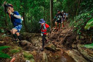 BIB: 
                            <button type="button" onclick="openModal(22439885)" class="btn btn-primary btn-sm float-right btn-popup" data-toggle="modal" data-target=".modal-high-quality">
                        <i class="fas fa-shopping-cart"></i> Add to Cart
                    </button>
                                            <button type="button" onclick="isThisMe(22439885, true)" class="btn btn-success btn-sm float-right btn-popup btn-isme hidden" data-toggle="tooltip" data-placement="bottom" title="นี่คือรูปของคุณใช่ไหม คลิกที่นี่เพื่อเอาเข้าอัลบั้ม">
                        <i class="fas fa-plus"></i> Add to album
                    </button>
                    <button type="button" onclick="isThisMe(22439885, false)" class="btn btn-warning btn-sm float-right btn-popup btn-isnotme hidden">
                        <i class="fas fa-ban"></i> Remove from album
                    </button>