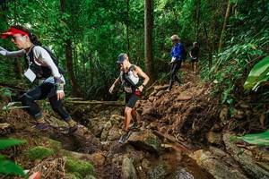 BIB: 
                            <button type="button" onclick="openModal(22440920)" class="btn btn-primary btn-sm float-right btn-popup" data-toggle="modal" data-target=".modal-high-quality">
                        <i class="fas fa-shopping-cart"></i> Add to Cart
                    </button>
                                            <button type="button" onclick="isThisMe(22440920, true)" class="btn btn-success btn-sm float-right btn-popup btn-isme hidden" data-toggle="tooltip" data-placement="bottom" title="นี่คือรูปของคุณใช่ไหม คลิกที่นี่เพื่อเอาเข้าอัลบั้ม">
                        <i class="fas fa-plus"></i> Add to album
                    </button>
                    <button type="button" onclick="isThisMe(22440920, false)" class="btn btn-warning btn-sm float-right btn-popup btn-isnotme hidden">
                        <i class="fas fa-ban"></i> Remove from album
                    </button>