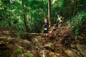 BIB: 
                            <button type="button" onclick="openModal(22417330)" class="btn btn-primary btn-sm float-right btn-popup" data-toggle="modal" data-target=".modal-high-quality">
                        <i class="fas fa-shopping-cart"></i> Add to Cart
                    </button>
                                            <button type="button" onclick="isThisMe(22417330, true)" class="btn btn-success btn-sm float-right btn-popup btn-isme hidden" data-toggle="tooltip" data-placement="bottom" title="นี่คือรูปของคุณใช่ไหม คลิกที่นี่เพื่อเอาเข้าอัลบั้ม">
                        <i class="fas fa-plus"></i> Add to album
                    </button>
                    <button type="button" onclick="isThisMe(22417330, false)" class="btn btn-warning btn-sm float-right btn-popup btn-isnotme hidden">
                        <i class="fas fa-ban"></i> Remove from album
                    </button>