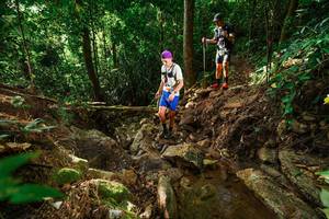 BIB: 
                            <button type="button" onclick="openModal(22420316)" class="btn btn-primary btn-sm float-right btn-popup" data-toggle="modal" data-target=".modal-high-quality">
                        <i class="fas fa-shopping-cart"></i> Add to Cart
                    </button>
                                            <button type="button" onclick="isThisMe(22420316, true)" class="btn btn-success btn-sm float-right btn-popup btn-isme hidden" data-toggle="tooltip" data-placement="bottom" title="นี่คือรูปของคุณใช่ไหม คลิกที่นี่เพื่อเอาเข้าอัลบั้ม">
                        <i class="fas fa-plus"></i> Add to album
                    </button>
                    <button type="button" onclick="isThisMe(22420316, false)" class="btn btn-warning btn-sm float-right btn-popup btn-isnotme hidden">
                        <i class="fas fa-ban"></i> Remove from album
                    </button>