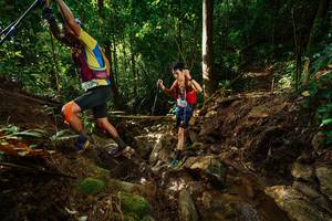 BIB: 
                            <button type="button" onclick="openModal(22409083)" class="btn btn-primary btn-sm float-right btn-popup" data-toggle="modal" data-target=".modal-high-quality">
                        <i class="fas fa-shopping-cart"></i> Add to Cart
                    </button>
                                            <button type="button" onclick="isThisMe(22409083, true)" class="btn btn-success btn-sm float-right btn-popup btn-isme hidden" data-toggle="tooltip" data-placement="bottom" title="นี่คือรูปของคุณใช่ไหม คลิกที่นี่เพื่อเอาเข้าอัลบั้ม">
                        <i class="fas fa-plus"></i> Add to album
                    </button>
                    <button type="button" onclick="isThisMe(22409083, false)" class="btn btn-warning btn-sm float-right btn-popup btn-isnotme hidden">
                        <i class="fas fa-ban"></i> Remove from album
                    </button>