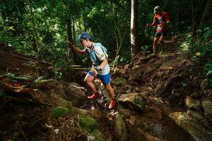 BIB: 
                            <button type="button" onclick="openModal(22409013)" class="btn btn-primary btn-sm float-right btn-popup" data-toggle="modal" data-target=".modal-high-quality">
                        <i class="fas fa-shopping-cart"></i> Add to Cart
                    </button>
                                            <button type="button" onclick="isThisMe(22409013, true)" class="btn btn-success btn-sm float-right btn-popup btn-isme hidden" data-toggle="tooltip" data-placement="bottom" title="นี่คือรูปของคุณใช่ไหม คลิกที่นี่เพื่อเอาเข้าอัลบั้ม">
                        <i class="fas fa-plus"></i> Add to album
                    </button>
                    <button type="button" onclick="isThisMe(22409013, false)" class="btn btn-warning btn-sm float-right btn-popup btn-isnotme hidden">
                        <i class="fas fa-ban"></i> Remove from album
                    </button>