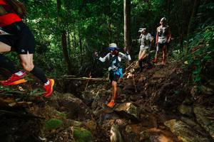 BIB: 
                            <button type="button" onclick="openModal(22416447)" class="btn btn-primary btn-sm float-right btn-popup" data-toggle="modal" data-target=".modal-high-quality">
                        <i class="fas fa-shopping-cart"></i> Add to Cart
                    </button>
                                            <button type="button" onclick="isThisMe(22416447, true)" class="btn btn-success btn-sm float-right btn-popup btn-isme hidden" data-toggle="tooltip" data-placement="bottom" title="นี่คือรูปของคุณใช่ไหม คลิกที่นี่เพื่อเอาเข้าอัลบั้ม">
                        <i class="fas fa-plus"></i> Add to album
                    </button>
                    <button type="button" onclick="isThisMe(22416447, false)" class="btn btn-warning btn-sm float-right btn-popup btn-isnotme hidden">
                        <i class="fas fa-ban"></i> Remove from album
                    </button>