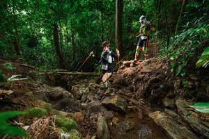 BIB: 
                            <button type="button" onclick="openModal(22438498)" class="btn btn-primary btn-sm float-right btn-popup" data-toggle="modal" data-target=".modal-high-quality">
                        <i class="fas fa-shopping-cart"></i> Add to Cart
                    </button>
                                            <button type="button" onclick="isThisMe(22438498, true)" class="btn btn-success btn-sm float-right btn-popup btn-isme hidden" data-toggle="tooltip" data-placement="bottom" title="นี่คือรูปของคุณใช่ไหม คลิกที่นี่เพื่อเอาเข้าอัลบั้ม">
                        <i class="fas fa-plus"></i> Add to album
                    </button>
                    <button type="button" onclick="isThisMe(22438498, false)" class="btn btn-warning btn-sm float-right btn-popup btn-isnotme hidden">
                        <i class="fas fa-ban"></i> Remove from album
                    </button>