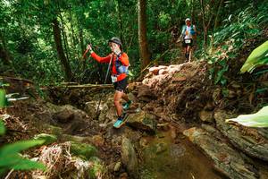 BIB: 
                            <button type="button" onclick="openModal(22421880)" class="btn btn-primary btn-sm float-right btn-popup" data-toggle="modal" data-target=".modal-high-quality">
                        <i class="fas fa-shopping-cart"></i> Add to Cart
                    </button>
                                            <button type="button" onclick="isThisMe(22421880, true)" class="btn btn-success btn-sm float-right btn-popup btn-isme hidden" data-toggle="tooltip" data-placement="bottom" title="นี่คือรูปของคุณใช่ไหม คลิกที่นี่เพื่อเอาเข้าอัลบั้ม">
                        <i class="fas fa-plus"></i> Add to album
                    </button>
                    <button type="button" onclick="isThisMe(22421880, false)" class="btn btn-warning btn-sm float-right btn-popup btn-isnotme hidden">
                        <i class="fas fa-ban"></i> Remove from album
                    </button>