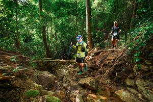 BIB: 
                            <button type="button" onclick="openModal(22417346)" class="btn btn-primary btn-sm float-right btn-popup" data-toggle="modal" data-target=".modal-high-quality">
                        <i class="fas fa-shopping-cart"></i> Add to Cart
                    </button>
                                            <button type="button" onclick="isThisMe(22417346, true)" class="btn btn-success btn-sm float-right btn-popup btn-isme hidden" data-toggle="tooltip" data-placement="bottom" title="นี่คือรูปของคุณใช่ไหม คลิกที่นี่เพื่อเอาเข้าอัลบั้ม">
                        <i class="fas fa-plus"></i> Add to album
                    </button>
                    <button type="button" onclick="isThisMe(22417346, false)" class="btn btn-warning btn-sm float-right btn-popup btn-isnotme hidden">
                        <i class="fas fa-ban"></i> Remove from album
                    </button>