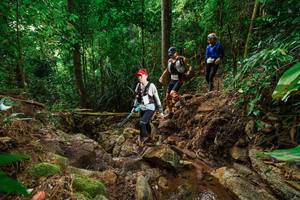 BIB: 
                            <button type="button" onclick="openModal(22440858)" class="btn btn-primary btn-sm float-right btn-popup" data-toggle="modal" data-target=".modal-high-quality">
                        <i class="fas fa-shopping-cart"></i> Add to Cart
                    </button>
                                            <button type="button" onclick="isThisMe(22440858, true)" class="btn btn-success btn-sm float-right btn-popup btn-isme hidden" data-toggle="tooltip" data-placement="bottom" title="นี่คือรูปของคุณใช่ไหม คลิกที่นี่เพื่อเอาเข้าอัลบั้ม">
                        <i class="fas fa-plus"></i> Add to album
                    </button>
                    <button type="button" onclick="isThisMe(22440858, false)" class="btn btn-warning btn-sm float-right btn-popup btn-isnotme hidden">
                        <i class="fas fa-ban"></i> Remove from album
                    </button>