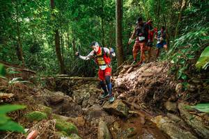 BIB: 
                            <button type="button" onclick="openModal(22439613)" class="btn btn-primary btn-sm float-right btn-popup" data-toggle="modal" data-target=".modal-high-quality">
                        <i class="fas fa-shopping-cart"></i> Add to Cart
                    </button>
                                            <button type="button" onclick="isThisMe(22439613, true)" class="btn btn-success btn-sm float-right btn-popup btn-isme hidden" data-toggle="tooltip" data-placement="bottom" title="นี่คือรูปของคุณใช่ไหม คลิกที่นี่เพื่อเอาเข้าอัลบั้ม">
                        <i class="fas fa-plus"></i> Add to album
                    </button>
                    <button type="button" onclick="isThisMe(22439613, false)" class="btn btn-warning btn-sm float-right btn-popup btn-isnotme hidden">
                        <i class="fas fa-ban"></i> Remove from album
                    </button>