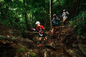 BIB: 
                            <button type="button" onclick="openModal(22416444)" class="btn btn-primary btn-sm float-right btn-popup" data-toggle="modal" data-target=".modal-high-quality">
                        <i class="fas fa-shopping-cart"></i> Add to Cart
                    </button>
                                            <button type="button" onclick="isThisMe(22416444, true)" class="btn btn-success btn-sm float-right btn-popup btn-isme hidden" data-toggle="tooltip" data-placement="bottom" title="นี่คือรูปของคุณใช่ไหม คลิกที่นี่เพื่อเอาเข้าอัลบั้ม">
                        <i class="fas fa-plus"></i> Add to album
                    </button>
                    <button type="button" onclick="isThisMe(22416444, false)" class="btn btn-warning btn-sm float-right btn-popup btn-isnotme hidden">
                        <i class="fas fa-ban"></i> Remove from album
                    </button>