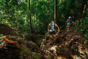 BIB: 
                            <button type="button" onclick="openModal(22404797)" class="btn btn-primary btn-sm float-right btn-popup" data-toggle="modal" data-target=".modal-high-quality">
                        <i class="fas fa-shopping-cart"></i> Add to Cart
                    </button>
                                            <button type="button" onclick="isThisMe(22404797, true)" class="btn btn-success btn-sm float-right btn-popup btn-isme hidden" data-toggle="tooltip" data-placement="bottom" title="นี่คือรูปของคุณใช่ไหม คลิกที่นี่เพื่อเอาเข้าอัลบั้ม">
                        <i class="fas fa-plus"></i> Add to album
                    </button>
                    <button type="button" onclick="isThisMe(22404797, false)" class="btn btn-warning btn-sm float-right btn-popup btn-isnotme hidden">
                        <i class="fas fa-ban"></i> Remove from album
                    </button>