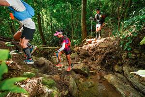 BIB: 
                            <button type="button" onclick="openModal(22421891)" class="btn btn-primary btn-sm float-right btn-popup" data-toggle="modal" data-target=".modal-high-quality">
                        <i class="fas fa-shopping-cart"></i> Add to Cart
                    </button>
                                            <button type="button" onclick="isThisMe(22421891, true)" class="btn btn-success btn-sm float-right btn-popup btn-isme hidden" data-toggle="tooltip" data-placement="bottom" title="นี่คือรูปของคุณใช่ไหม คลิกที่นี่เพื่อเอาเข้าอัลบั้ม">
                        <i class="fas fa-plus"></i> Add to album
                    </button>
                    <button type="button" onclick="isThisMe(22421891, false)" class="btn btn-warning btn-sm float-right btn-popup btn-isnotme hidden">
                        <i class="fas fa-ban"></i> Remove from album
                    </button>