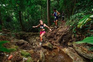 BIB: 648
                            <button type="button" onclick="openModal(22440003)" class="btn btn-primary btn-sm float-right btn-popup" data-toggle="modal" data-target=".modal-high-quality">
                        <i class="fas fa-shopping-cart"></i> Add to Cart
                    </button>
                                            <button type="button" onclick="isThisMe(22440003, true)" class="btn btn-success btn-sm float-right btn-popup btn-isme hidden" data-toggle="tooltip" data-placement="bottom" title="นี่คือรูปของคุณใช่ไหม คลิกที่นี่เพื่อเอาเข้าอัลบั้ม">
                        <i class="fas fa-plus"></i> Add to album
                    </button>
                    <button type="button" onclick="isThisMe(22440003, false)" class="btn btn-warning btn-sm float-right btn-popup btn-isnotme hidden">
                        <i class="fas fa-ban"></i> Remove from album
                    </button>