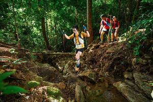 BIB: 
                            <button type="button" onclick="openModal(22420751)" class="btn btn-primary btn-sm float-right btn-popup" data-toggle="modal" data-target=".modal-high-quality">
                        <i class="fas fa-shopping-cart"></i> Add to Cart
                    </button>
                                            <button type="button" onclick="isThisMe(22420751, true)" class="btn btn-success btn-sm float-right btn-popup btn-isme hidden" data-toggle="tooltip" data-placement="bottom" title="นี่คือรูปของคุณใช่ไหม คลิกที่นี่เพื่อเอาเข้าอัลบั้ม">
                        <i class="fas fa-plus"></i> Add to album
                    </button>
                    <button type="button" onclick="isThisMe(22420751, false)" class="btn btn-warning btn-sm float-right btn-popup btn-isnotme hidden">
                        <i class="fas fa-ban"></i> Remove from album
                    </button>