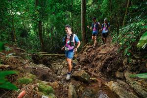 BIB: 
                            <button type="button" onclick="openModal(22440673)" class="btn btn-primary btn-sm float-right btn-popup" data-toggle="modal" data-target=".modal-high-quality">
                        <i class="fas fa-shopping-cart"></i> Add to Cart
                    </button>
                                            <button type="button" onclick="isThisMe(22440673, true)" class="btn btn-success btn-sm float-right btn-popup btn-isme hidden" data-toggle="tooltip" data-placement="bottom" title="นี่คือรูปของคุณใช่ไหม คลิกที่นี่เพื่อเอาเข้าอัลบั้ม">
                        <i class="fas fa-plus"></i> Add to album
                    </button>
                    <button type="button" onclick="isThisMe(22440673, false)" class="btn btn-warning btn-sm float-right btn-popup btn-isnotme hidden">
                        <i class="fas fa-ban"></i> Remove from album
                    </button>