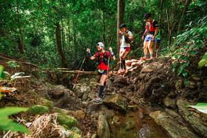 BIB: 
                            <button type="button" onclick="openModal(22438285)" class="btn btn-primary btn-sm float-right btn-popup" data-toggle="modal" data-target=".modal-high-quality">
                        <i class="fas fa-shopping-cart"></i> Add to Cart
                    </button>
                                            <button type="button" onclick="isThisMe(22438285, true)" class="btn btn-success btn-sm float-right btn-popup btn-isme hidden" data-toggle="tooltip" data-placement="bottom" title="นี่คือรูปของคุณใช่ไหม คลิกที่นี่เพื่อเอาเข้าอัลบั้ม">
                        <i class="fas fa-plus"></i> Add to album
                    </button>
                    <button type="button" onclick="isThisMe(22438285, false)" class="btn btn-warning btn-sm float-right btn-popup btn-isnotme hidden">
                        <i class="fas fa-ban"></i> Remove from album
                    </button>