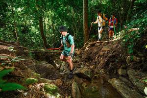 BIB: 
                            <button type="button" onclick="openModal(22420745)" class="btn btn-primary btn-sm float-right btn-popup" data-toggle="modal" data-target=".modal-high-quality">
                        <i class="fas fa-shopping-cart"></i> Add to Cart
                    </button>
                                            <button type="button" onclick="isThisMe(22420745, true)" class="btn btn-success btn-sm float-right btn-popup btn-isme hidden" data-toggle="tooltip" data-placement="bottom" title="นี่คือรูปของคุณใช่ไหม คลิกที่นี่เพื่อเอาเข้าอัลบั้ม">
                        <i class="fas fa-plus"></i> Add to album
                    </button>
                    <button type="button" onclick="isThisMe(22420745, false)" class="btn btn-warning btn-sm float-right btn-popup btn-isnotme hidden">
                        <i class="fas fa-ban"></i> Remove from album
                    </button>