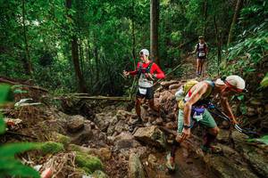 BIB: 
                            <button type="button" onclick="openModal(22438977)" class="btn btn-primary btn-sm float-right btn-popup" data-toggle="modal" data-target=".modal-high-quality">
                        <i class="fas fa-shopping-cart"></i> Add to Cart
                    </button>
                                            <button type="button" onclick="isThisMe(22438977, true)" class="btn btn-success btn-sm float-right btn-popup btn-isme hidden" data-toggle="tooltip" data-placement="bottom" title="นี่คือรูปของคุณใช่ไหม คลิกที่นี่เพื่อเอาเข้าอัลบั้ม">
                        <i class="fas fa-plus"></i> Add to album
                    </button>
                    <button type="button" onclick="isThisMe(22438977, false)" class="btn btn-warning btn-sm float-right btn-popup btn-isnotme hidden">
                        <i class="fas fa-ban"></i> Remove from album
                    </button>