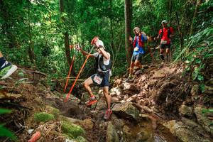 BIB: 5062
                            <button type="button" onclick="openModal(22441151)" class="btn btn-primary btn-sm float-right btn-popup" data-toggle="modal" data-target=".modal-high-quality">
                        <i class="fas fa-shopping-cart"></i> Add to Cart
                    </button>
                                            <button type="button" onclick="isThisMe(22441151, true)" class="btn btn-success btn-sm float-right btn-popup btn-isme hidden" data-toggle="tooltip" data-placement="bottom" title="นี่คือรูปของคุณใช่ไหม คลิกที่นี่เพื่อเอาเข้าอัลบั้ม">
                        <i class="fas fa-plus"></i> Add to album
                    </button>
                    <button type="button" onclick="isThisMe(22441151, false)" class="btn btn-warning btn-sm float-right btn-popup btn-isnotme hidden">
                        <i class="fas fa-ban"></i> Remove from album
                    </button>