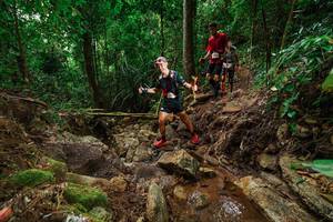 BIB: 
                            <button type="button" onclick="openModal(22443868)" class="btn btn-primary btn-sm float-right btn-popup" data-toggle="modal" data-target=".modal-high-quality">
                        <i class="fas fa-shopping-cart"></i> Add to Cart
                    </button>
                                            <button type="button" onclick="isThisMe(22443868, true)" class="btn btn-success btn-sm float-right btn-popup btn-isme hidden" data-toggle="tooltip" data-placement="bottom" title="นี่คือรูปของคุณใช่ไหม คลิกที่นี่เพื่อเอาเข้าอัลบั้ม">
                        <i class="fas fa-plus"></i> Add to album
                    </button>
                    <button type="button" onclick="isThisMe(22443868, false)" class="btn btn-warning btn-sm float-right btn-popup btn-isnotme hidden">
                        <i class="fas fa-ban"></i> Remove from album
                    </button>