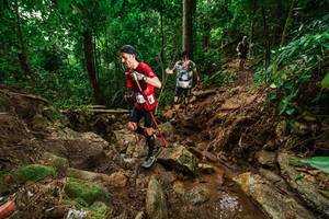 BIB: 
                            <button type="button" onclick="openModal(22443997)" class="btn btn-primary btn-sm float-right btn-popup" data-toggle="modal" data-target=".modal-high-quality">
                        <i class="fas fa-shopping-cart"></i> Add to Cart
                    </button>
                                            <button type="button" onclick="isThisMe(22443997, true)" class="btn btn-success btn-sm float-right btn-popup btn-isme hidden" data-toggle="tooltip" data-placement="bottom" title="นี่คือรูปของคุณใช่ไหม คลิกที่นี่เพื่อเอาเข้าอัลบั้ม">
                        <i class="fas fa-plus"></i> Add to album
                    </button>
                    <button type="button" onclick="isThisMe(22443997, false)" class="btn btn-warning btn-sm float-right btn-popup btn-isnotme hidden">
                        <i class="fas fa-ban"></i> Remove from album
                    </button>