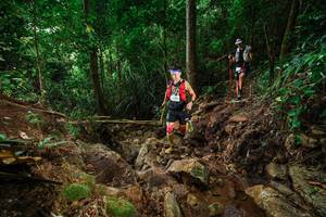 BIB: 
                            <button type="button" onclick="openModal(22411202)" class="btn btn-primary btn-sm float-right btn-popup" data-toggle="modal" data-target=".modal-high-quality">
                        <i class="fas fa-shopping-cart"></i> Add to Cart
                    </button>
                                            <button type="button" onclick="isThisMe(22411202, true)" class="btn btn-success btn-sm float-right btn-popup btn-isme hidden" data-toggle="tooltip" data-placement="bottom" title="นี่คือรูปของคุณใช่ไหม คลิกที่นี่เพื่อเอาเข้าอัลบั้ม">
                        <i class="fas fa-plus"></i> Add to album
                    </button>
                    <button type="button" onclick="isThisMe(22411202, false)" class="btn btn-warning btn-sm float-right btn-popup btn-isnotme hidden">
                        <i class="fas fa-ban"></i> Remove from album
                    </button>