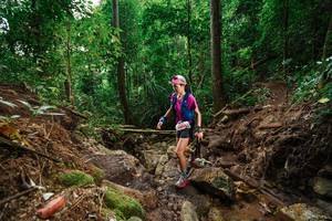 BIB: 3805
                            <button type="button" onclick="openModal(22577681)" class="btn btn-primary btn-sm float-right btn-popup" data-toggle="modal" data-target=".modal-high-quality">
                        <i class="fas fa-shopping-cart"></i> Add to Cart
                    </button>
                                            <button type="button" onclick="isThisMe(22577681, true)" class="btn btn-success btn-sm float-right btn-popup btn-isme hidden" data-toggle="tooltip" data-placement="bottom" title="นี่คือรูปของคุณใช่ไหม คลิกที่นี่เพื่อเอาเข้าอัลบั้ม">
                        <i class="fas fa-plus"></i> Add to album
                    </button>
                    <button type="button" onclick="isThisMe(22577681, false)" class="btn btn-warning btn-sm float-right btn-popup btn-isnotme hidden">
                        <i class="fas fa-ban"></i> Remove from album
                    </button>