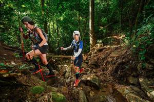 BIB: 
                            <button type="button" onclick="openModal(22410727)" class="btn btn-primary btn-sm float-right btn-popup" data-toggle="modal" data-target=".modal-high-quality">
                        <i class="fas fa-shopping-cart"></i> Add to Cart
                    </button>
                                            <button type="button" onclick="isThisMe(22410727, true)" class="btn btn-success btn-sm float-right btn-popup btn-isme hidden" data-toggle="tooltip" data-placement="bottom" title="นี่คือรูปของคุณใช่ไหม คลิกที่นี่เพื่อเอาเข้าอัลบั้ม">
                        <i class="fas fa-plus"></i> Add to album
                    </button>
                    <button type="button" onclick="isThisMe(22410727, false)" class="btn btn-warning btn-sm float-right btn-popup btn-isnotme hidden">
                        <i class="fas fa-ban"></i> Remove from album
                    </button>