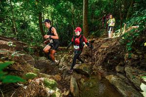 BIB: 
                            <button type="button" onclick="openModal(22420695)" class="btn btn-primary btn-sm float-right btn-popup" data-toggle="modal" data-target=".modal-high-quality">
                        <i class="fas fa-shopping-cart"></i> Add to Cart
                    </button>
                                            <button type="button" onclick="isThisMe(22420695, true)" class="btn btn-success btn-sm float-right btn-popup btn-isme hidden" data-toggle="tooltip" data-placement="bottom" title="นี่คือรูปของคุณใช่ไหม คลิกที่นี่เพื่อเอาเข้าอัลบั้ม">
                        <i class="fas fa-plus"></i> Add to album
                    </button>
                    <button type="button" onclick="isThisMe(22420695, false)" class="btn btn-warning btn-sm float-right btn-popup btn-isnotme hidden">
                        <i class="fas fa-ban"></i> Remove from album
                    </button>