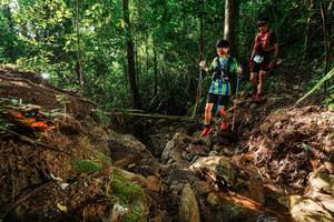 BIB: 
                            <button type="button" onclick="openModal(22395456)" class="btn btn-primary btn-sm float-right btn-popup" data-toggle="modal" data-target=".modal-high-quality">
                        <i class="fas fa-shopping-cart"></i> Add to Cart
                    </button>
                                            <button type="button" onclick="isThisMe(22395456, true)" class="btn btn-success btn-sm float-right btn-popup btn-isme hidden" data-toggle="tooltip" data-placement="bottom" title="นี่คือรูปของคุณใช่ไหม คลิกที่นี่เพื่อเอาเข้าอัลบั้ม">
                        <i class="fas fa-plus"></i> Add to album
                    </button>
                    <button type="button" onclick="isThisMe(22395456, false)" class="btn btn-warning btn-sm float-right btn-popup btn-isnotme hidden">
                        <i class="fas fa-ban"></i> Remove from album
                    </button>