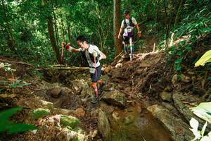 BIB: 
                            <button type="button" onclick="openModal(22421443)" class="btn btn-primary btn-sm float-right btn-popup" data-toggle="modal" data-target=".modal-high-quality">
                        <i class="fas fa-shopping-cart"></i> Add to Cart
                    </button>
                                            <button type="button" onclick="isThisMe(22421443, true)" class="btn btn-success btn-sm float-right btn-popup btn-isme hidden" data-toggle="tooltip" data-placement="bottom" title="นี่คือรูปของคุณใช่ไหม คลิกที่นี่เพื่อเอาเข้าอัลบั้ม">
                        <i class="fas fa-plus"></i> Add to album
                    </button>
                    <button type="button" onclick="isThisMe(22421443, false)" class="btn btn-warning btn-sm float-right btn-popup btn-isnotme hidden">
                        <i class="fas fa-ban"></i> Remove from album
                    </button>