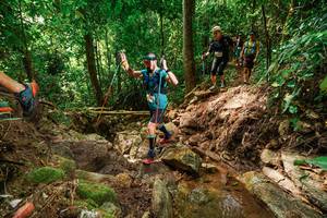 BIB: 
                            <button type="button" onclick="openModal(22444917)" class="btn btn-primary btn-sm float-right btn-popup" data-toggle="modal" data-target=".modal-high-quality">
                        <i class="fas fa-shopping-cart"></i> Add to Cart
                    </button>
                                            <button type="button" onclick="isThisMe(22444917, true)" class="btn btn-success btn-sm float-right btn-popup btn-isme hidden" data-toggle="tooltip" data-placement="bottom" title="นี่คือรูปของคุณใช่ไหม คลิกที่นี่เพื่อเอาเข้าอัลบั้ม">
                        <i class="fas fa-plus"></i> Add to album
                    </button>
                    <button type="button" onclick="isThisMe(22444917, false)" class="btn btn-warning btn-sm float-right btn-popup btn-isnotme hidden">
                        <i class="fas fa-ban"></i> Remove from album
                    </button>