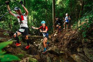 BIB: 94642
                            <button type="button" onclick="openModal(22419440)" class="btn btn-primary btn-sm float-right btn-popup" data-toggle="modal" data-target=".modal-high-quality">
                        <i class="fas fa-shopping-cart"></i> Add to Cart
                    </button>
                                            <button type="button" onclick="isThisMe(22419440, true)" class="btn btn-success btn-sm float-right btn-popup btn-isme hidden" data-toggle="tooltip" data-placement="bottom" title="นี่คือรูปของคุณใช่ไหม คลิกที่นี่เพื่อเอาเข้าอัลบั้ม">
                        <i class="fas fa-plus"></i> Add to album
                    </button>
                    <button type="button" onclick="isThisMe(22419440, false)" class="btn btn-warning btn-sm float-right btn-popup btn-isnotme hidden">
                        <i class="fas fa-ban"></i> Remove from album
                    </button>