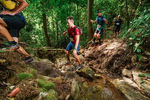 BIB: 
                            <button type="button" onclick="openModal(22444912)" class="btn btn-primary btn-sm float-right btn-popup" data-toggle="modal" data-target=".modal-high-quality">
                        <i class="fas fa-shopping-cart"></i> Add to Cart
                    </button>
                                            <button type="button" onclick="isThisMe(22444912, true)" class="btn btn-success btn-sm float-right btn-popup btn-isme hidden" data-toggle="tooltip" data-placement="bottom" title="นี่คือรูปของคุณใช่ไหม คลิกที่นี่เพื่อเอาเข้าอัลบั้ม">
                        <i class="fas fa-plus"></i> Add to album
                    </button>
                    <button type="button" onclick="isThisMe(22444912, false)" class="btn btn-warning btn-sm float-right btn-popup btn-isnotme hidden">
                        <i class="fas fa-ban"></i> Remove from album
                    </button>