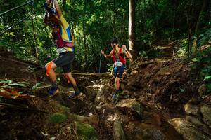 BIB: 
                            <button type="button" onclick="openModal(22409079)" class="btn btn-primary btn-sm float-right btn-popup" data-toggle="modal" data-target=".modal-high-quality">
                        <i class="fas fa-shopping-cart"></i> Add to Cart
                    </button>
                                            <button type="button" onclick="isThisMe(22409079, true)" class="btn btn-success btn-sm float-right btn-popup btn-isme hidden" data-toggle="tooltip" data-placement="bottom" title="นี่คือรูปของคุณใช่ไหม คลิกที่นี่เพื่อเอาเข้าอัลบั้ม">
                        <i class="fas fa-plus"></i> Add to album
                    </button>
                    <button type="button" onclick="isThisMe(22409079, false)" class="btn btn-warning btn-sm float-right btn-popup btn-isnotme hidden">
                        <i class="fas fa-ban"></i> Remove from album
                    </button>