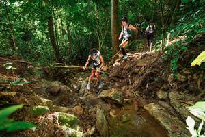 BIB: 
                            <button type="button" onclick="openModal(22421347)" class="btn btn-primary btn-sm float-right btn-popup" data-toggle="modal" data-target=".modal-high-quality">
                        <i class="fas fa-shopping-cart"></i> Add to Cart
                    </button>
                                            <button type="button" onclick="isThisMe(22421347, true)" class="btn btn-success btn-sm float-right btn-popup btn-isme hidden" data-toggle="tooltip" data-placement="bottom" title="นี่คือรูปของคุณใช่ไหม คลิกที่นี่เพื่อเอาเข้าอัลบั้ม">
                        <i class="fas fa-plus"></i> Add to album
                    </button>
                    <button type="button" onclick="isThisMe(22421347, false)" class="btn btn-warning btn-sm float-right btn-popup btn-isnotme hidden">
                        <i class="fas fa-ban"></i> Remove from album
                    </button>