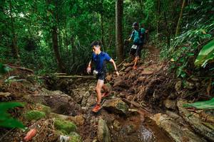 BIB: 
                            <button type="button" onclick="openModal(22440547)" class="btn btn-primary btn-sm float-right btn-popup" data-toggle="modal" data-target=".modal-high-quality">
                        <i class="fas fa-shopping-cart"></i> Add to Cart
                    </button>
                                            <button type="button" onclick="isThisMe(22440547, true)" class="btn btn-success btn-sm float-right btn-popup btn-isme hidden" data-toggle="tooltip" data-placement="bottom" title="นี่คือรูปของคุณใช่ไหม คลิกที่นี่เพื่อเอาเข้าอัลบั้ม">
                        <i class="fas fa-plus"></i> Add to album
                    </button>
                    <button type="button" onclick="isThisMe(22440547, false)" class="btn btn-warning btn-sm float-right btn-popup btn-isnotme hidden">
                        <i class="fas fa-ban"></i> Remove from album
                    </button>