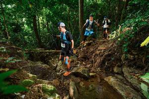 BIB: 
                            <button type="button" onclick="openModal(22420513)" class="btn btn-primary btn-sm float-right btn-popup" data-toggle="modal" data-target=".modal-high-quality">
                        <i class="fas fa-shopping-cart"></i> Add to Cart
                    </button>
                                            <button type="button" onclick="isThisMe(22420513, true)" class="btn btn-success btn-sm float-right btn-popup btn-isme hidden" data-toggle="tooltip" data-placement="bottom" title="นี่คือรูปของคุณใช่ไหม คลิกที่นี่เพื่อเอาเข้าอัลบั้ม">
                        <i class="fas fa-plus"></i> Add to album
                    </button>
                    <button type="button" onclick="isThisMe(22420513, false)" class="btn btn-warning btn-sm float-right btn-popup btn-isnotme hidden">
                        <i class="fas fa-ban"></i> Remove from album
                    </button>