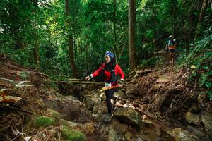 BIB: 1421
                            <button type="button" onclick="openModal(22441923)" class="btn btn-primary btn-sm float-right btn-popup" data-toggle="modal" data-target=".modal-high-quality">
                        <i class="fas fa-shopping-cart"></i> Add to Cart
                    </button>
                                            <button type="button" onclick="isThisMe(22441923, true)" class="btn btn-success btn-sm float-right btn-popup btn-isme hidden" data-toggle="tooltip" data-placement="bottom" title="นี่คือรูปของคุณใช่ไหม คลิกที่นี่เพื่อเอาเข้าอัลบั้ม">
                        <i class="fas fa-plus"></i> Add to album
                    </button>
                    <button type="button" onclick="isThisMe(22441923, false)" class="btn btn-warning btn-sm float-right btn-popup btn-isnotme hidden">
                        <i class="fas fa-ban"></i> Remove from album
                    </button>