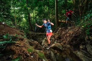 BIB: 
                            <button type="button" onclick="openModal(22393545)" class="btn btn-primary btn-sm float-right btn-popup" data-toggle="modal" data-target=".modal-high-quality">
                        <i class="fas fa-shopping-cart"></i> Add to Cart
                    </button>
                                            <button type="button" onclick="isThisMe(22393545, true)" class="btn btn-success btn-sm float-right btn-popup btn-isme hidden" data-toggle="tooltip" data-placement="bottom" title="นี่คือรูปของคุณใช่ไหม คลิกที่นี่เพื่อเอาเข้าอัลบั้ม">
                        <i class="fas fa-plus"></i> Add to album
                    </button>
                    <button type="button" onclick="isThisMe(22393545, false)" class="btn btn-warning btn-sm float-right btn-popup btn-isnotme hidden">
                        <i class="fas fa-ban"></i> Remove from album
                    </button>