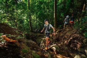 BIB: 
                            <button type="button" onclick="openModal(22404831)" class="btn btn-primary btn-sm float-right btn-popup" data-toggle="modal" data-target=".modal-high-quality">
                        <i class="fas fa-shopping-cart"></i> Add to Cart
                    </button>
                                            <button type="button" onclick="isThisMe(22404831, true)" class="btn btn-success btn-sm float-right btn-popup btn-isme hidden" data-toggle="tooltip" data-placement="bottom" title="นี่คือรูปของคุณใช่ไหม คลิกที่นี่เพื่อเอาเข้าอัลบั้ม">
                        <i class="fas fa-plus"></i> Add to album
                    </button>
                    <button type="button" onclick="isThisMe(22404831, false)" class="btn btn-warning btn-sm float-right btn-popup btn-isnotme hidden">
                        <i class="fas fa-ban"></i> Remove from album
                    </button>