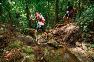 BIB: 
                            <button type="button" onclick="openModal(22444756)" class="btn btn-primary btn-sm float-right btn-popup" data-toggle="modal" data-target=".modal-high-quality">
                        <i class="fas fa-shopping-cart"></i> Add to Cart
                    </button>
                                            <button type="button" onclick="isThisMe(22444756, true)" class="btn btn-success btn-sm float-right btn-popup btn-isme hidden" data-toggle="tooltip" data-placement="bottom" title="นี่คือรูปของคุณใช่ไหม คลิกที่นี่เพื่อเอาเข้าอัลบั้ม">
                        <i class="fas fa-plus"></i> Add to album
                    </button>
                    <button type="button" onclick="isThisMe(22444756, false)" class="btn btn-warning btn-sm float-right btn-popup btn-isnotme hidden">
                        <i class="fas fa-ban"></i> Remove from album
                    </button>