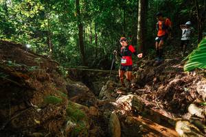 BIB: 
                            <button type="button" onclick="openModal(22399844)" class="btn btn-primary btn-sm float-right btn-popup" data-toggle="modal" data-target=".modal-high-quality">
                        <i class="fas fa-shopping-cart"></i> Add to Cart
                    </button>
                                            <button type="button" onclick="isThisMe(22399844, true)" class="btn btn-success btn-sm float-right btn-popup btn-isme hidden" data-toggle="tooltip" data-placement="bottom" title="นี่คือรูปของคุณใช่ไหม คลิกที่นี่เพื่อเอาเข้าอัลบั้ม">
                        <i class="fas fa-plus"></i> Add to album
                    </button>
                    <button type="button" onclick="isThisMe(22399844, false)" class="btn btn-warning btn-sm float-right btn-popup btn-isnotme hidden">
                        <i class="fas fa-ban"></i> Remove from album
                    </button>