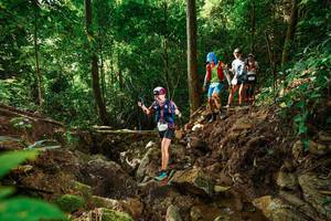 BIB: 
                            <button type="button" onclick="openModal(22419237)" class="btn btn-primary btn-sm float-right btn-popup" data-toggle="modal" data-target=".modal-high-quality">
                        <i class="fas fa-shopping-cart"></i> Add to Cart
                    </button>
                                            <button type="button" onclick="isThisMe(22419237, true)" class="btn btn-success btn-sm float-right btn-popup btn-isme hidden" data-toggle="tooltip" data-placement="bottom" title="นี่คือรูปของคุณใช่ไหม คลิกที่นี่เพื่อเอาเข้าอัลบั้ม">
                        <i class="fas fa-plus"></i> Add to album
                    </button>
                    <button type="button" onclick="isThisMe(22419237, false)" class="btn btn-warning btn-sm float-right btn-popup btn-isnotme hidden">
                        <i class="fas fa-ban"></i> Remove from album
                    </button>