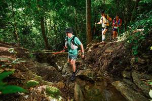 BIB: 
                            <button type="button" onclick="openModal(22420744)" class="btn btn-primary btn-sm float-right btn-popup" data-toggle="modal" data-target=".modal-high-quality">
                        <i class="fas fa-shopping-cart"></i> Add to Cart
                    </button>
                                            <button type="button" onclick="isThisMe(22420744, true)" class="btn btn-success btn-sm float-right btn-popup btn-isme hidden" data-toggle="tooltip" data-placement="bottom" title="นี่คือรูปของคุณใช่ไหม คลิกที่นี่เพื่อเอาเข้าอัลบั้ม">
                        <i class="fas fa-plus"></i> Add to album
                    </button>
                    <button type="button" onclick="isThisMe(22420744, false)" class="btn btn-warning btn-sm float-right btn-popup btn-isnotme hidden">
                        <i class="fas fa-ban"></i> Remove from album
                    </button>