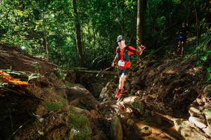 BIB: 
                            <button type="button" onclick="openModal(22402601)" class="btn btn-primary btn-sm float-right btn-popup" data-toggle="modal" data-target=".modal-high-quality">
                        <i class="fas fa-shopping-cart"></i> Add to Cart
                    </button>
                                            <button type="button" onclick="isThisMe(22402601, true)" class="btn btn-success btn-sm float-right btn-popup btn-isme hidden" data-toggle="tooltip" data-placement="bottom" title="นี่คือรูปของคุณใช่ไหม คลิกที่นี่เพื่อเอาเข้าอัลบั้ม">
                        <i class="fas fa-plus"></i> Add to album
                    </button>
                    <button type="button" onclick="isThisMe(22402601, false)" class="btn btn-warning btn-sm float-right btn-popup btn-isnotme hidden">
                        <i class="fas fa-ban"></i> Remove from album
                    </button>