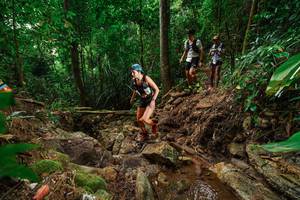 BIB: 
                            <button type="button" onclick="openModal(22440359)" class="btn btn-primary btn-sm float-right btn-popup" data-toggle="modal" data-target=".modal-high-quality">
                        <i class="fas fa-shopping-cart"></i> Add to Cart
                    </button>
                                            <button type="button" onclick="isThisMe(22440359, true)" class="btn btn-success btn-sm float-right btn-popup btn-isme hidden" data-toggle="tooltip" data-placement="bottom" title="นี่คือรูปของคุณใช่ไหม คลิกที่นี่เพื่อเอาเข้าอัลบั้ม">
                        <i class="fas fa-plus"></i> Add to album
                    </button>
                    <button type="button" onclick="isThisMe(22440359, false)" class="btn btn-warning btn-sm float-right btn-popup btn-isnotme hidden">
                        <i class="fas fa-ban"></i> Remove from album
                    </button>