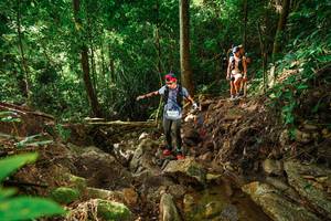 BIB: 93655
                            <button type="button" onclick="openModal(22419602)" class="btn btn-primary btn-sm float-right btn-popup" data-toggle="modal" data-target=".modal-high-quality">
                        <i class="fas fa-shopping-cart"></i> Add to Cart
                    </button>
                                            <button type="button" onclick="isThisMe(22419602, true)" class="btn btn-success btn-sm float-right btn-popup btn-isme hidden" data-toggle="tooltip" data-placement="bottom" title="นี่คือรูปของคุณใช่ไหม คลิกที่นี่เพื่อเอาเข้าอัลบั้ม">
                        <i class="fas fa-plus"></i> Add to album
                    </button>
                    <button type="button" onclick="isThisMe(22419602, false)" class="btn btn-warning btn-sm float-right btn-popup btn-isnotme hidden">
                        <i class="fas fa-ban"></i> Remove from album
                    </button>