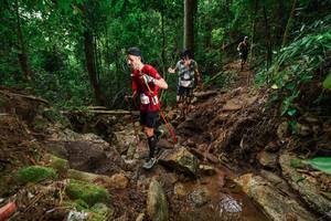 BIB: 
                            <button type="button" onclick="openModal(22444006)" class="btn btn-primary btn-sm float-right btn-popup" data-toggle="modal" data-target=".modal-high-quality">
                        <i class="fas fa-shopping-cart"></i> Add to Cart
                    </button>
                                            <button type="button" onclick="isThisMe(22444006, true)" class="btn btn-success btn-sm float-right btn-popup btn-isme hidden" data-toggle="tooltip" data-placement="bottom" title="นี่คือรูปของคุณใช่ไหม คลิกที่นี่เพื่อเอาเข้าอัลบั้ม">
                        <i class="fas fa-plus"></i> Add to album
                    </button>
                    <button type="button" onclick="isThisMe(22444006, false)" class="btn btn-warning btn-sm float-right btn-popup btn-isnotme hidden">
                        <i class="fas fa-ban"></i> Remove from album
                    </button>